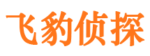 横山市侦探